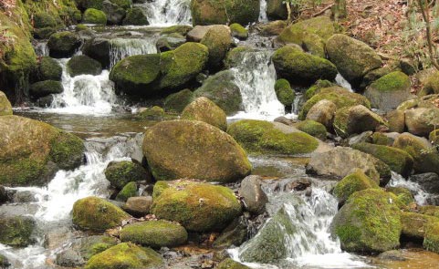 登山ハイキング中川の水を飲まない理由